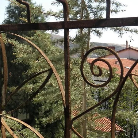 Mehmet Hostel *
