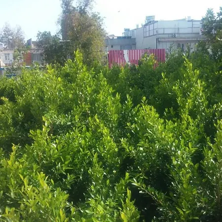 Mehmet * Antalya